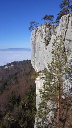 Wunderschöne Jura-Kalkwände.