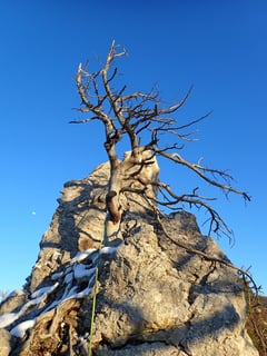 Ein besonders warmes Licht beglückte die Umgebung.