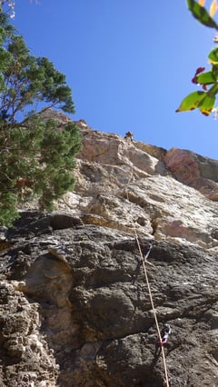 Fast alle Routen sind 25 bis 28 Meter lang: Ein Genuss!