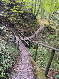 Willkommene Wanderabschnitte durch den Wald.