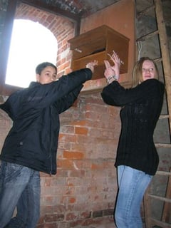 Konfirmanden der Klosterkirche Bordesholm installieren einen Turmfalkenkasten an ihrer Kirche