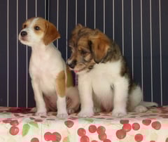 so klein waren sie mal...