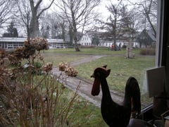 Bohrungen im Halfmannshof