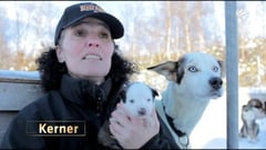 Silvia mit Welpen und Maxi - Quelle: SAT 1