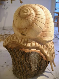 Weinbergschnecke Paul Widmer