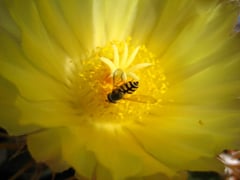 © 2014 - Rene Aeberhard 