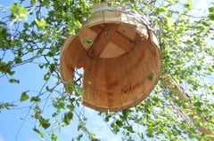 Tonne ohne Boden (Bodenkönig-in)