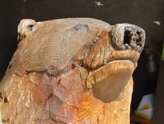 l'ours devant la miellerie de Vicdessos/Ariège