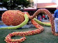 Les monstres marins sont à l'honneur cette année à Mirepoix (Arieège-Pyrénées)