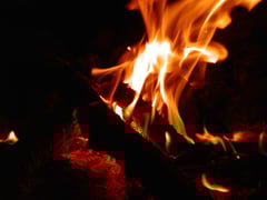 Kräuter Lernberatung Lernreich Schule Freizeit verbessern Legasthenie Dyskalkulie ADHS individuelle lebensleicht 