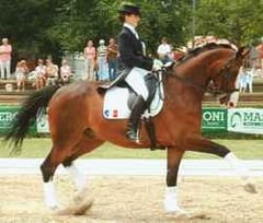 ROBIN Maxime championnats d'Europe Barzago (ITA)