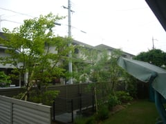 植栽工事　施工事例　奈良県北葛城郡河合町　モミジ　アオダモ　ソヨゴ