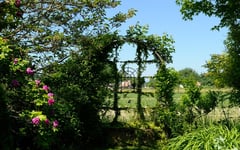 Le jardin de Marguerite