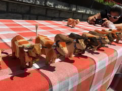 Geschnitzte Kühe der Sportmanagern