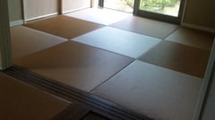 美草目積ブラウン