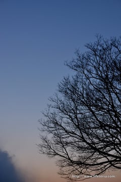 LifeTeria blog ブログ