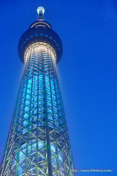 LifeTeria blog ブログ