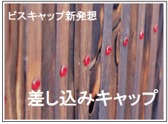 ダンドリビス　差し込みキャップ