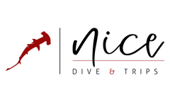 Tauchsafari in Saudi-Arabien NiCe Dive & Trips