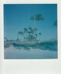 friedhelm natmeßnig photography Polaroid