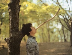 四季のＹＡＴＯＯワークショップより（１９８７）