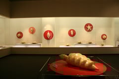 2008年 練馬区立美術館「セロテープ誕生60周年記念　瀬畑 亮 セロテープアート®展」会場風景