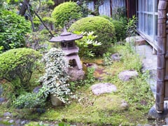 除草・庭掃除　作業前②　奈良県磯城郡田原本町