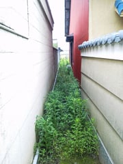 除草・庭掃除　作業前③　奈良県磯城郡田原本町