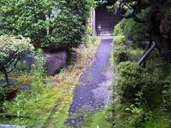 除草・庭掃除　作業前①　奈良県磯城郡田原本町