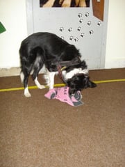 kleine Abwechslung zwischendurch