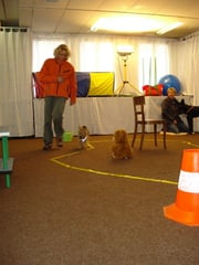 Slalom um Alltagsgegenstände