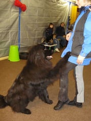 Amor beim "Trick" zeigen