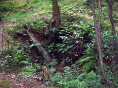 Schachtpinge oberhalb des Erbstollens