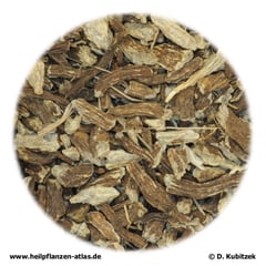 Schmalblättriger Sonnenhutwurzel (Echinaceae angustifoliae radix)