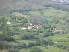 Vio del Pedrouco