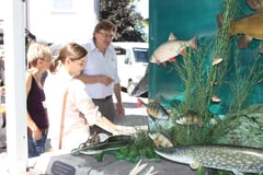 Und Hanspeter hat immer noch viel Arbeit