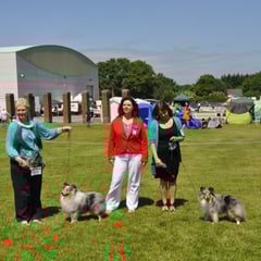 Bray & District Canine Club All Breed Ch Left BOB & GS Dog CH FEARNACH BLUE RHAPSODY AT CLUAINULTAIGH JUN CH (Mrs R Jackson) - Right : GS Bitch CH FEARNACH FROSTY MOON AT LONGRANGE  (Mrs. C Dunne) 