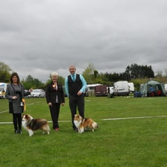 Hibernian All Breed Ch Show May 2013 Left Green Star Dog JAPARO DESIGNED TO DAZZLE AT LONGRANGE CJW11 JUN CH CW13 (Mrs. C Dunne)  Right Green Star Bitch & BOB LONGRANGE SCARLET OHARA JUN CH (Mrs. C Dunne)  