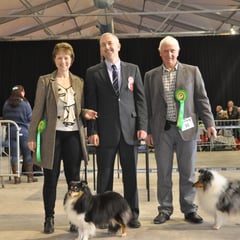 Portadown All Breed Ch Show 13th April 2013- Left: Best Of Breed  CH MYTER EYE TO EYE JW (Mrs M & Miss S Thomas)   Right: ARDLYN CHARLEY HARPER (Mr G Davis)