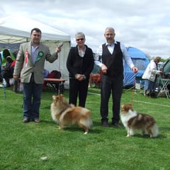 Fermoy All Breed Int. Ch Show 5th May 2013 Left: Best Of Breed  MULTI CH NAVARREM THE CONQUEROR CW 07 (Mr E & Mr P Castillo & Fortune)   Right : CH FEARNACH XIT TO HEAVEN (Damian D Mc Donald)