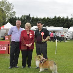 Carlow All Breed Ch Show 21.09.2013 Best of Breed & Green Star Dog  was JUN CH, CJW 12 IRISH LEGEND OF NAVARREM (Mr E & Mr P Castillo & Fortune)  No pic of bitch Green Star Bitch was  CHAMPION FEARNACH FROSTY MOON AT LONGRANGE  (Mrs. C Dunne)