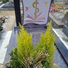 parce que Pierre était médecin .....