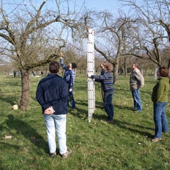 Wie stelle ich die Leiter sicher an oder in den Baum?  