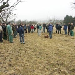 Nach der Mittagspause ging es dann auf einer Streuobstwiese in den Magertriften weiter