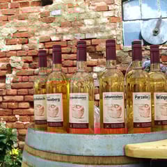 Nach den Reden wurden sie geleert