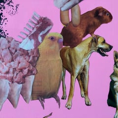 Zuschauer mit Glüstli