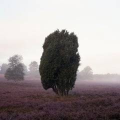Anja Putensen & Kathrin Haas | 6. - 15.9.2016
