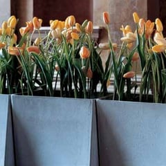 Gefäße für den Aussenbereich in Faserzement