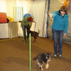 Katja und Fips, Isabelle mit Alex