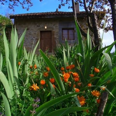 Casa La Paraxuga